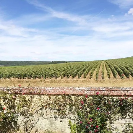 La Belle Longere, Havre De Paix 3 Etoiles Face Aux Vignes *