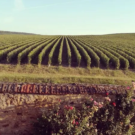 Holiday home La Belle Longere, Havre De Paix 3 Etoiles Face Aux Vignes Trelou Sur Marne